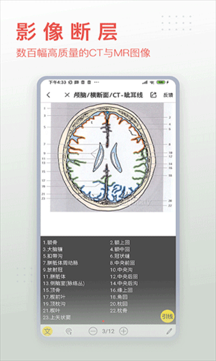 软件截图(5)